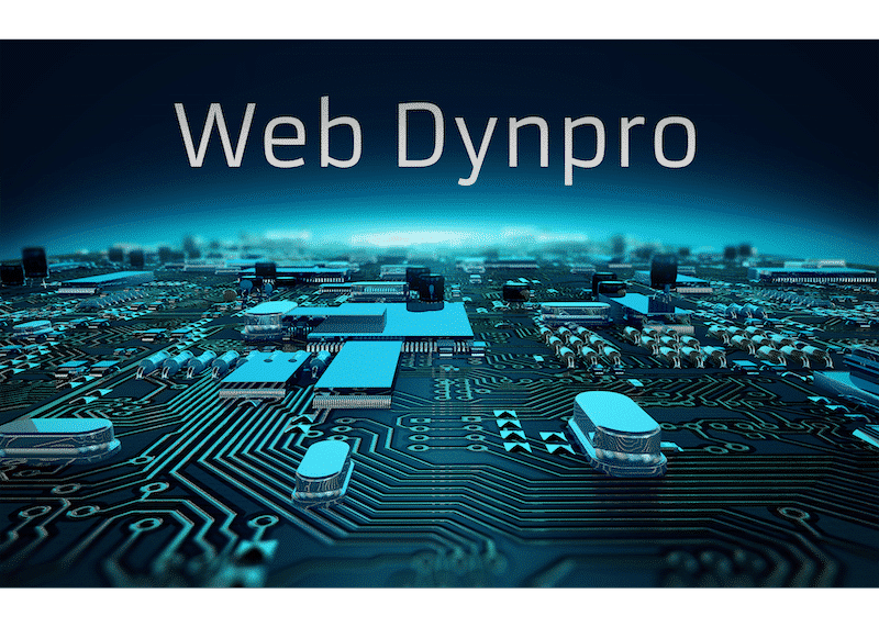 what web browser support dynpro